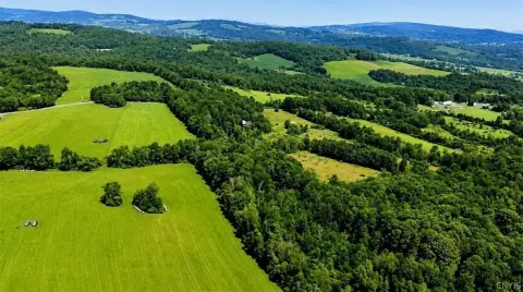Wooded Hunting Land with Road Frontage