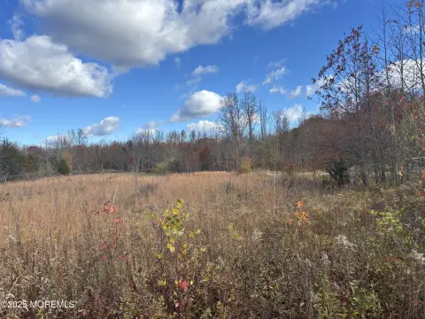 Residential Land in Manalapan, NJ
