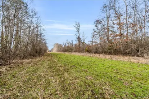 Recreational Land with Hunting Potential