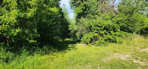 Braidwood Development Opportunity: 10 Acres