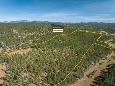 Custer Acreage Bordering National Forest
