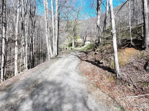 Waynesville Land with Development Potential