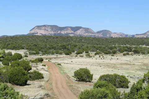 Recreational Hunting Land with Mountain Views