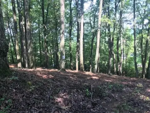 Waterfront Residential Land Parcel