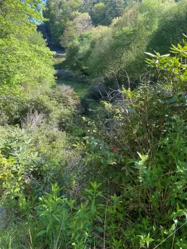 Creek Front Lot in Glenville