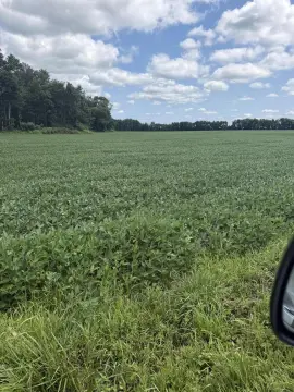 Contiguous Irrigated Farmland