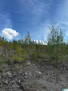 Industrial Land with Ponds