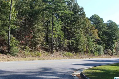 20+ Acre Land Parcel