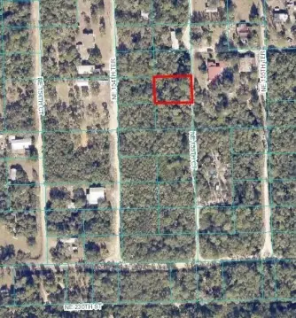Residential Lot in Ocala Forest