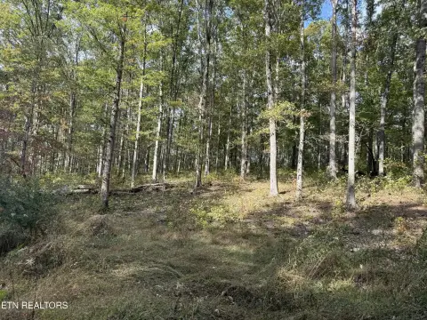 9.54 Acres Wooded Land