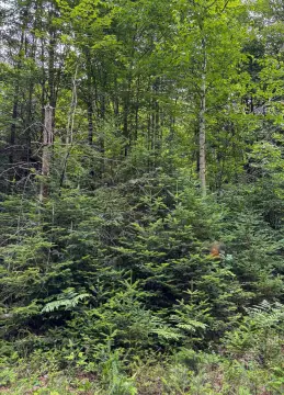 Recreation Land with Campsite