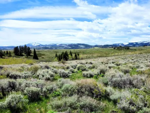 40-Acre Mountain Recreational Land