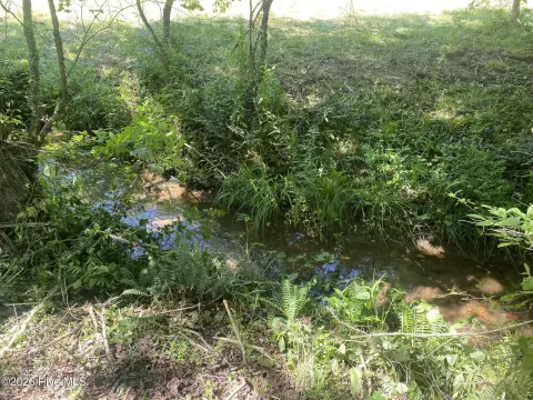 Unrestricted Creekside Land Tract