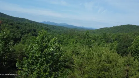 Wooded Mountain Land with Road Access