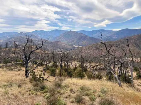 40-Acre Recreation Land