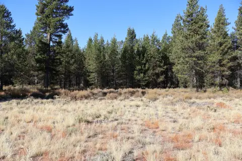 Commercial Land at Highway Junction