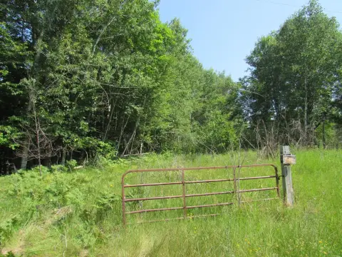 Hunting Land with Electric at Road