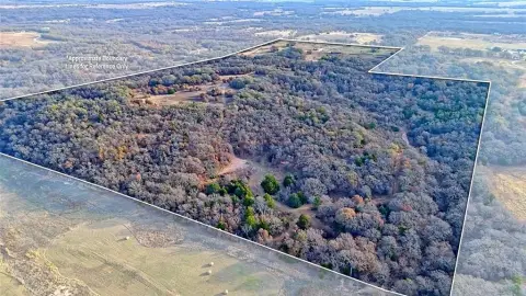 65 Acres of Rolling Texas Land