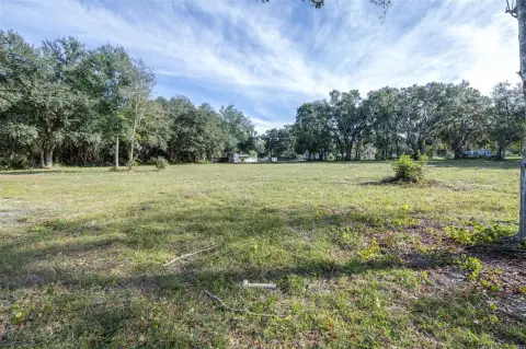 Expansive 1-Acre Homesite in Webster