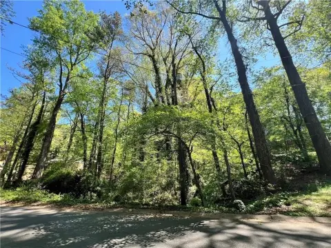 Wooded Lot in East Cobb