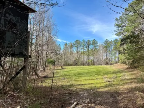 Thomasville, AL Vacant Land