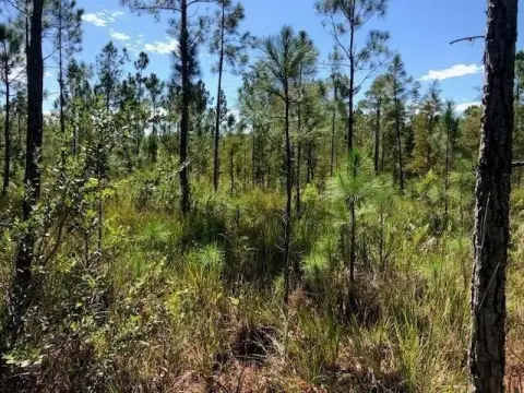 Polk City Acreage for Sale