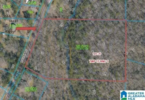 Wooded Land with Road Frontage