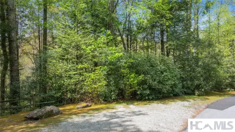 Wooded Lot in Holly Forest