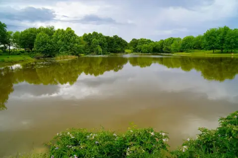 312 Acres Ranch, Pasture, Ponds