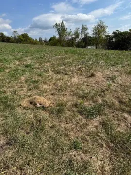 Cleared Commercial Land