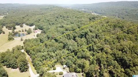 Wooded Acreage in Remlap, Alabama