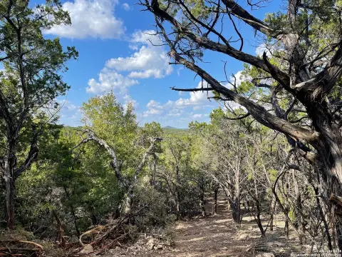 Land Near Medina Lake