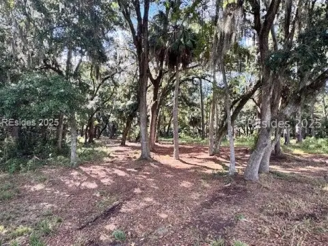 Residential Land in Palmetto Bluff