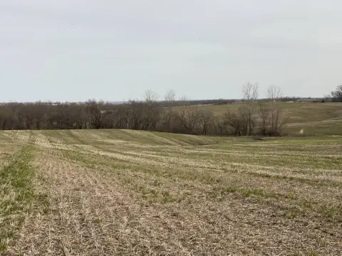 Productive Land in Ford City