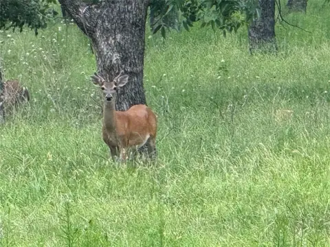 Granbury Land with Equestrian Trails