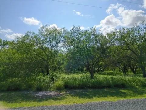Swinney Switch Shores Land