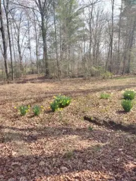 Unrestricted Hunting & Recreation Land