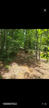 Unrestricted Acreage with Storage Shed