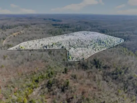 60 Acres Near Pickett Park