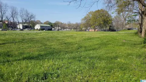 Commercial City Block in Montevallo