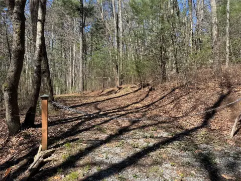 Serene Lot Near National Forest