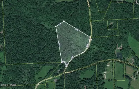 Wooded Residential Land Parcel