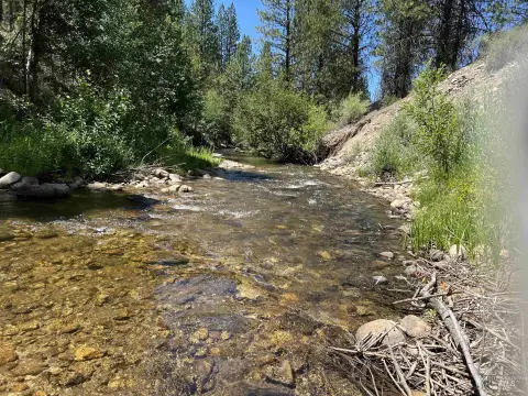 Residential Mountain Lot