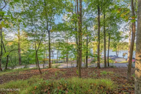Lakeview Lot in Kingston, TN