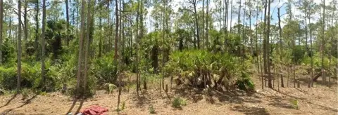 Lehigh Acres Land Opportunity