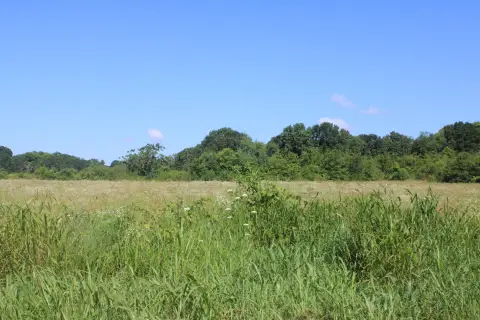 Commercial Land Near Bypass