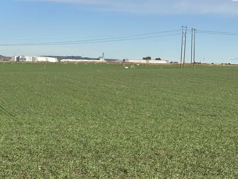 Irrigated Agricultural Land