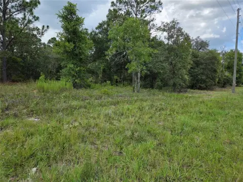 Residential Land Homesite