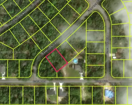 Residential Homesite with Flood Zone X