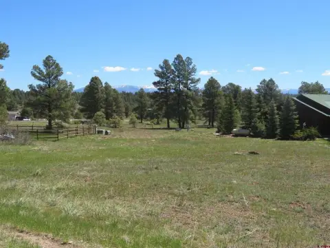 Pagosa Springs Residential Land